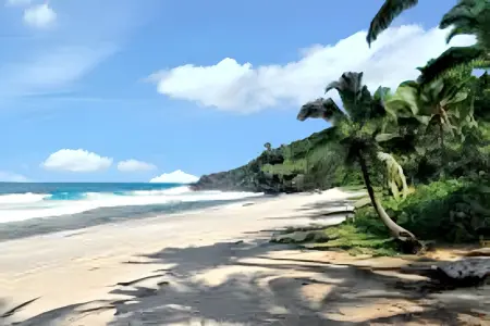 Appartement vue mer au Tampon - 51 m² - Terrasse - Photo 13