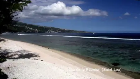 Appartement vue mer au Tampon - 51 m² - Terrasse - Photo 15