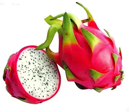 Appartement vue mer au Tampon - 51 m² - Terrasse - Photo 28