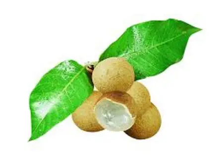 Appartement vue mer au Tampon - 51 m² - Terrasse - Photo 31