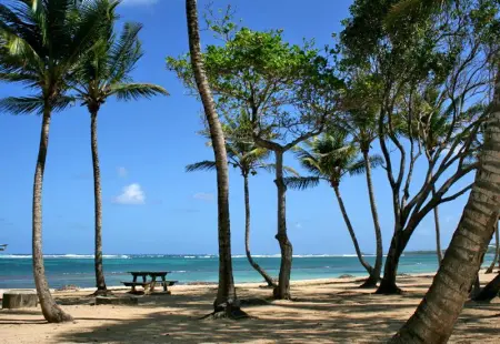 Bungalow charmant au Moule avec vue sur jardin, Bungalow 3 personnes à Le Moule - Photo 9