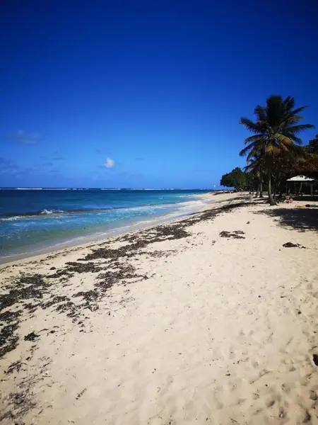 Bungalow charmant au Moule avec vue sur jardin, Bungalow 3 personnes à Le Moule - Photo 10