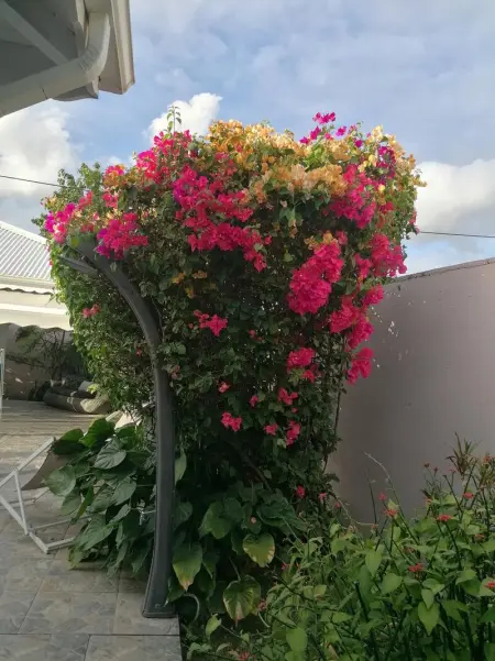 Villa confortable à Sainte-Anne avec piscine privée - Photo 11