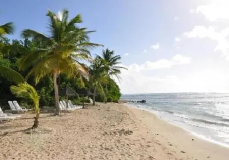 Villa confortable à Sainte-Anne avec piscine privée - Photo 15