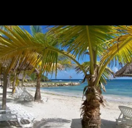 Villa confortable à Sainte-Anne avec piscine privée - Photo 16