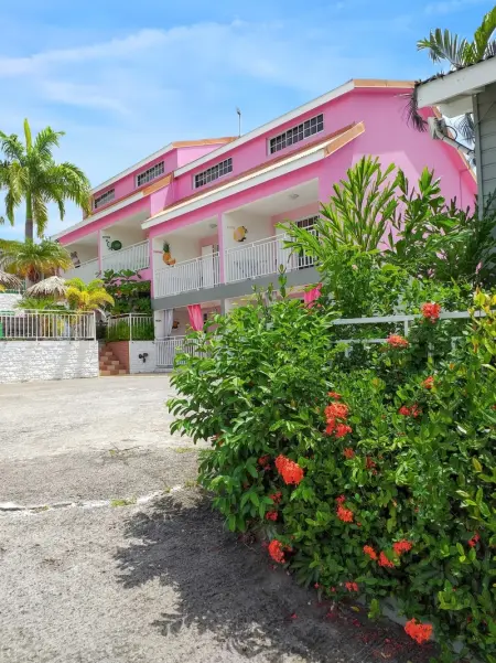 Appartement charmant à Sainte-Anne avec piscine partagée - 60 m² - Photo 3