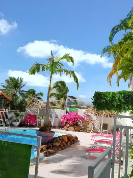 Appartement charmant à Sainte-Anne avec piscine partagée - 60 m² - Photo 9