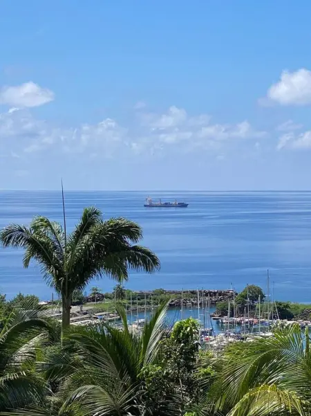 Maison de charme à Gourbeyre avec vue mer et montagnes - Photo 13