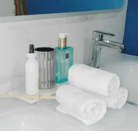 Maison côtière aux Anses-d'Arlet avec vue mer et jardin - Photo 10