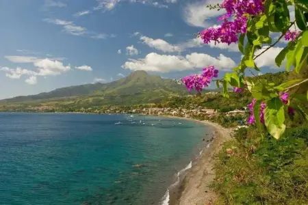 Appartement confortable à Sainte-Luce avec jacuzzi - Photo 7