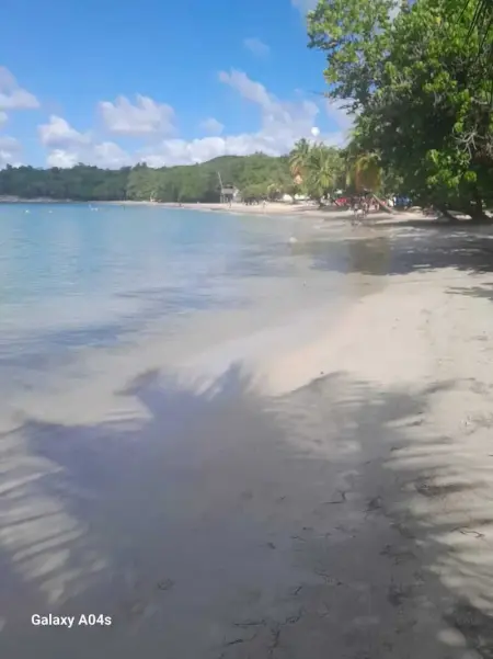 Appartement confortable à Sainte-Luce avec jacuzzi - Photo 9