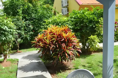 Maison cosy Les Anses d'Arlet + Jardin, Maison 2 personnes à Les Anses d'Arlet - Photo 2