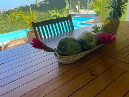 Bungalow idyllique à Vieux-Habitants avec vue sur la mer - Photo 24