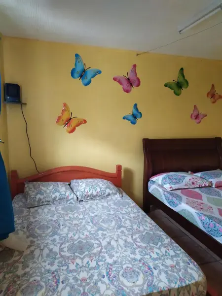 Villa spacieuse à La Plaine des Cafres 55 m² avec piscine privée - Photo 9