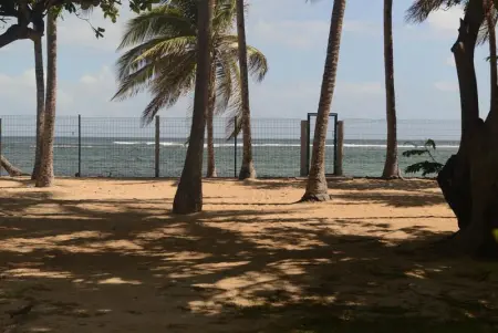 Charmant studio avec vue sur mer au Moule, 20 m² + terrasse - Photo 8