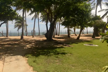 Charmant studio avec vue sur mer au Moule, 20 m² + terrasse - Photo 10