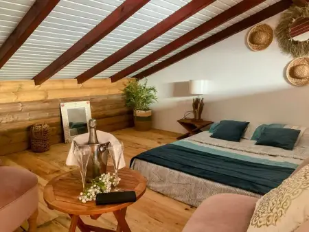 Studio confortable à Bouillante, 56 m², vue mer, jardin clos. - Photo 2