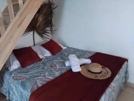 Studio confortable à Bouillante, 56 m², vue mer, jardin clos. - Photo 10