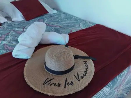 Studio confortable à Bouillante, 56 m², vue mer, jardin clos. - Photo 12