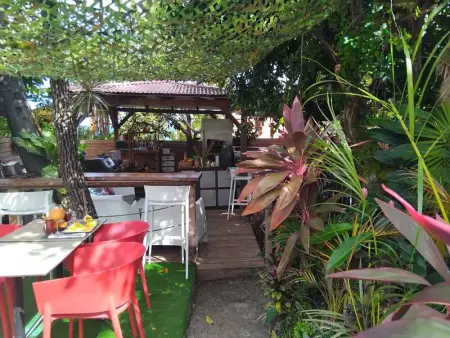 Studio confortable à Bouillante, 56 m², vue mer, jardin clos. - Photo 24