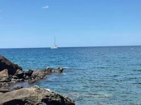 Studio confortable à Bouillante, 56 m², vue mer, jardin clos. - Photo 30