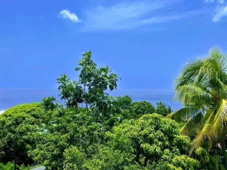 Studio confortable à Bouillante, 56 m², vue mer, jardin clos. - Photo 31