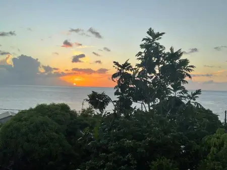 Studio confortable à Bouillante, 56 m², vue mer, jardin clos. - Photo 37