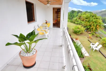 Appartement cosy à La Trinité, 20 m², avec jardin - Photo 2