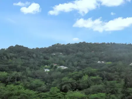 Appartement cosy à La Trinité, 20 m², avec jardin - Photo 4