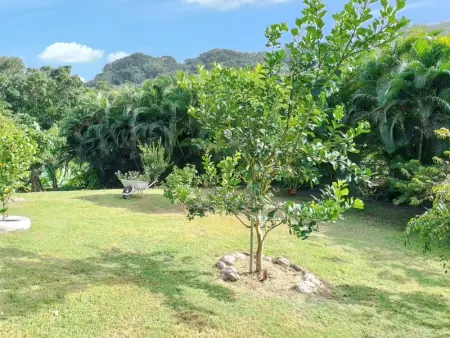 Appartement cosy à La Trinité, 20 m², avec jardin - Photo 6