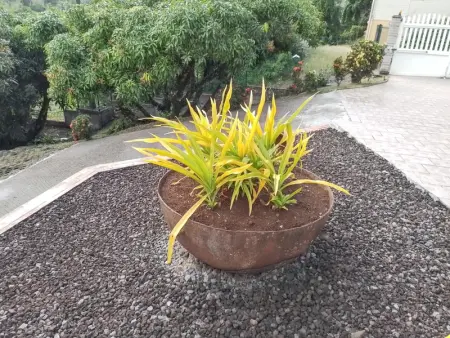 Appartement cosy à La Trinité, 20 m², avec jardin - Photo 8