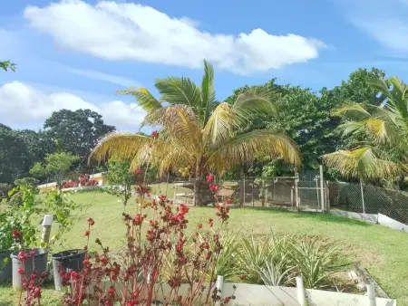 Appartement cosy à La Trinité, 20 m², avec jardin - Photo 10