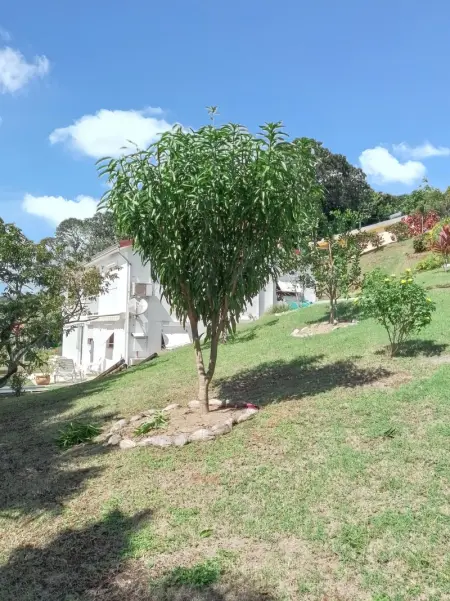 Appartement cosy à La Trinité, 20 m², avec jardin - Photo 11