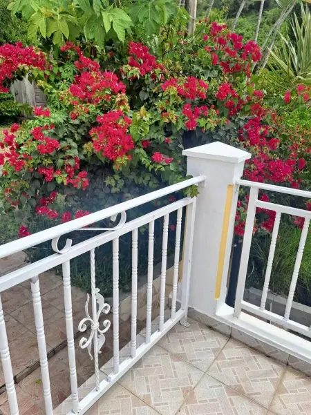 Maison de charme à Vieux Fort avec vue mer et montagne - Photo 1