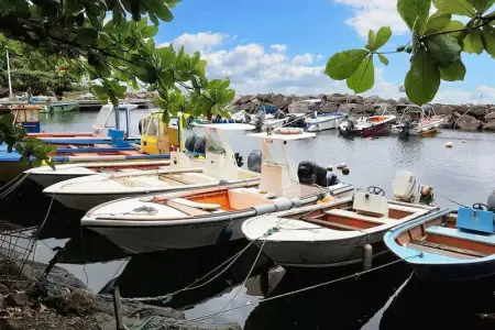 Maison de charme à Vieux Fort avec vue mer et montagne - Photo 20