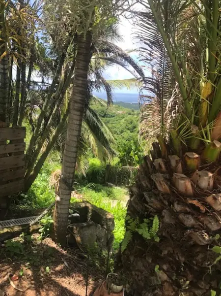 Appartement avec vue sur la mer à Le Marin, Climatisé, 80 m² - Photo 20