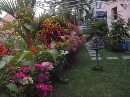 Appartement charmant à Sainte-Anne - Terrasse et Jardin - Photo 8