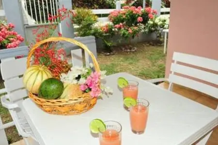 Appartement charmant à Sainte-Anne - Terrasse et Jardin - Photo 11