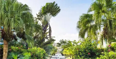 Charmant studio à Saint François 25 m² avec piscine - Photo 11