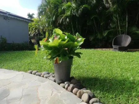 Maison spacieuse avec jacuzzi et vue sur la mer à Sainte-Rose - Photo 22