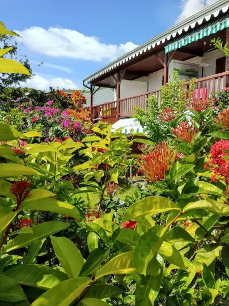 Studio charmant au Diamant - 30 m² - Piscine partagée - Photo 2