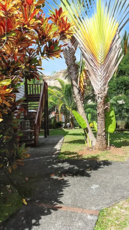 Studio charmant au Diamant - 30 m² - Piscine partagée - Photo 3