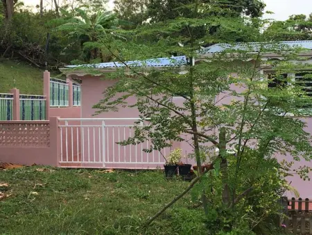 Appartement charmant à Le Gosier avec jardin, 42 m² - Photo 10