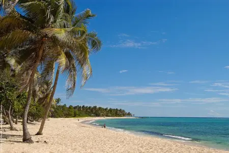 Appartement confortable à Capesterre 60 m² vue mer - Photo 11