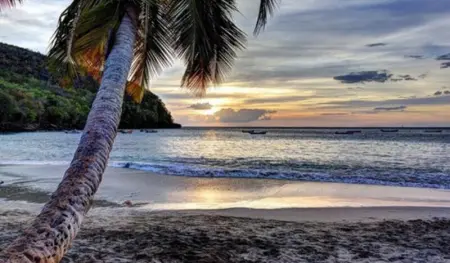 Bungalow charmant Le Moule + Jardin, Bungalow 4 personnes à Le moule - Photo 9