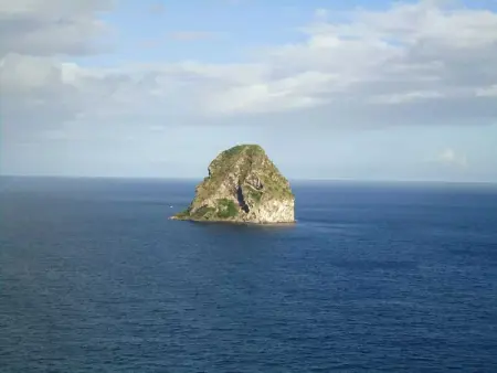 Studio confortable à Le Diamant - 25 m² avec terrasse - Photo 11