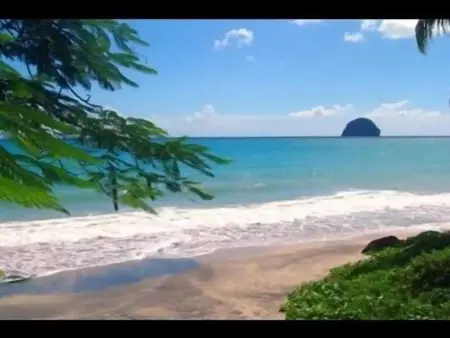 Studio confortable à Le Diamant - 25 m² avec terrasse - Photo 15