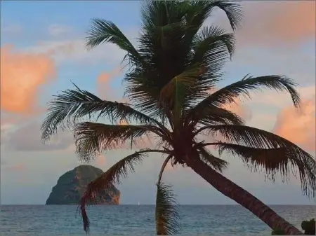 Studio confortable à Le Diamant - 25 m² avec terrasse - Photo 17