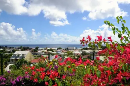 Studio confortable avec piscine à Saint-François, 35 m² - Photo 3