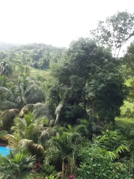 Bungalow charmant à Pointe-Noire, Bungalow 2 personnes à Pointe Noire - Photo 11